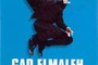 Affiche du film Gad Elmaleh: La vie normale