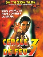 Affiche du film Cercles De Feu 3