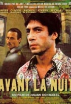 Affiche miniature du film Avant la nuit