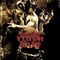 Affiche du film Dragon Tiger Gate - Dragon Tiger Gate 
