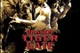 Affiche du film Dragon Tiger Gate