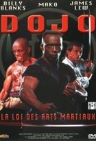 Affiche miniature du film Dojo : la Loi des Arts Martiaux