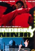 Affiche miniature du film Indian Ninja