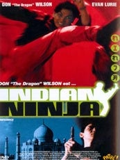 Affiche du film Indian Ninja