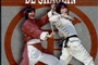 Affiche du film La fureur des maîtres Shaolin