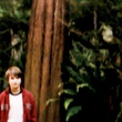 zac efron a droite