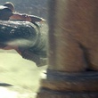 photo 6 du film le choc des titans