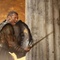 sam worthington dans la bataille - Le choc des Titans 