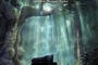 Affiche du film Piano Forest