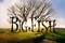 affiche du film big fish