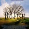 affiche du film big fish - Big Fish 