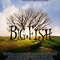 Affiche du film Big Fish - Big Fish 