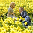 alison lohman ewan mcgregor