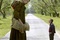 matthew mcgrory ewan mcgregor
