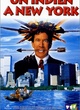 Affiche du film Un Indien à New York