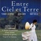 Affiche du film Entre Ciel et Terre - Entre Ciel et Terre 
