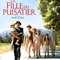 Affiche du film La fille du puisatier  - La fille du puisatier 