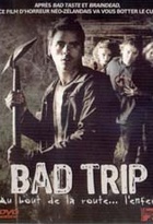 Affiche miniature du film Bad Trip
