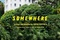 Affiche du film Somewhere 
