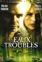 Affiche miniature du film En eaux troubles