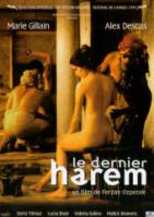 Affiche du film Le dernier harem