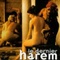 Affiche du film Le dernier harem - Le dernier harem 