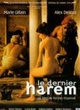 Affiche du film Le dernier harem