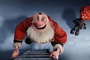 echelle-du-pere-noel-jpg