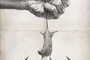 Affiche du film Hesher 