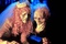 geena-davis-alec-baldwin-jpg