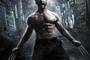 wolverine1-jpg