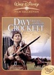 Affiche du film Davy Crockett, roi des trappeurs