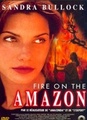 Fire on the amazon
