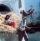 harrison ford et karen allen - Indiana Jones et les aventuriers de l'Arche perdue 