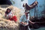 harrison ford et karen allen