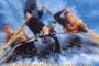 Affiche du film La rivière sauvage
