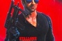 Affiche du film Cobra