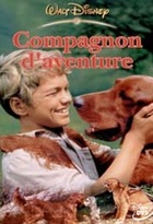 Affiche miniature du film Compagnon d'aventures