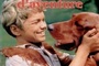 Affiche du film Compagnon d'aventures