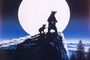 Affiche du film L'ours