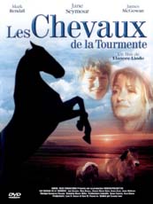 Affiche du film Les Chevaux De La Tourmente