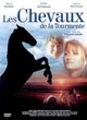 Affiche du film Les Chevaux De La Tourmente