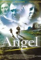 Affiche miniature du film Angel (2002)