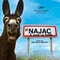 Affiche du film Ici Najac, à vous la Terre - Ici Najac, à vous la Terre 