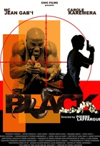 Affiche miniature du film Black (2009)