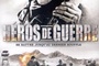 Affiche du film Héros De Guerre