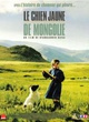 Affiche du film Le chien jaune de Mongoli