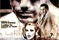 Affiche du film Raging Bull 