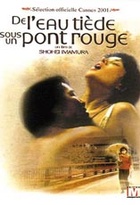 Affiche miniature du film De l'eau tiède sous un pont rouge