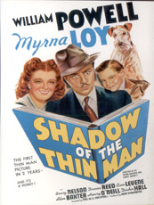 Affiche du film L'ombre et l'introuvable